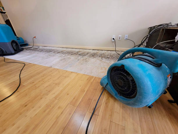 Professional Water Removal technician working in Glenmoore, PA